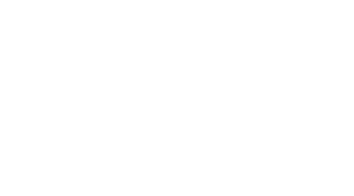 Lilian Nader - Investigación de Mercado